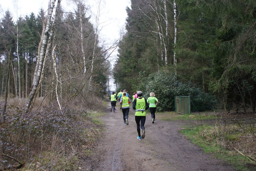 Bosloop Brecht - 32